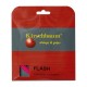 KIRSCHBAUM FLASH 1.25 PINK 12M