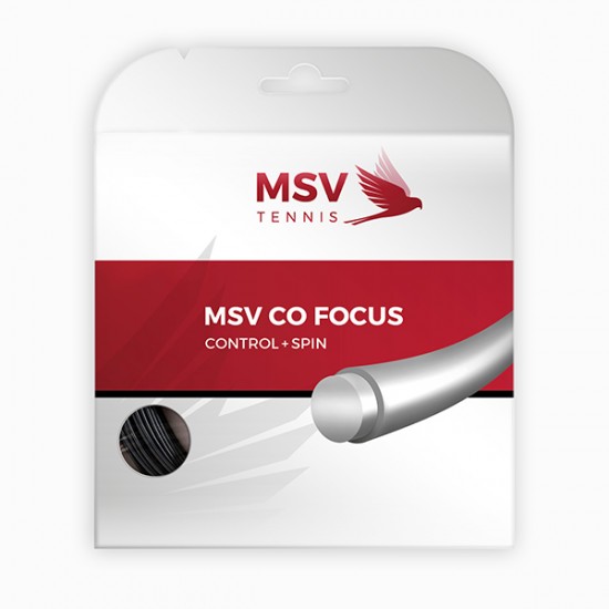 MSV CO FOCUS 12M MSV CO FOCUS 12M