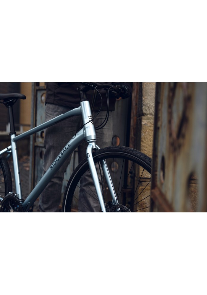 ridgeback vanteo 2020